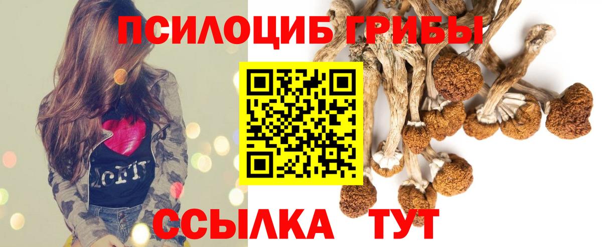 Псилоцибиновые грибы прущие грибы  Вход с VPN  Галлюциногенные грибы ЛСД  Топки 